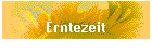 Erntezeit